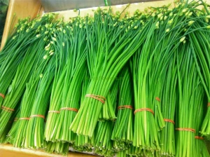 Seminte Chives, 2g Opal – Seminte Perene, Randament Garantat